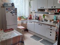 Prodej činžovního domu, 2x 1+1, 2x 3+1, Děčín II - 13