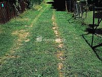 prodej zahrady v osobním vlastnictví ve vyhledávané lokalitě Děčín II , ul. Kamenická - 30