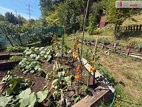 Pronájem pozemku, 693 m2, Horní, Ústí nad Labem - 5