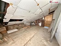 Chata u Vltavy ve Veltrusech – ideální pro rekreaci i rybaření - 21