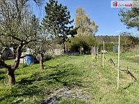 Chata u Vltavy ve Veltrusech – ideální pro rekreaci i rybaření - 9