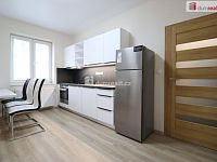 Dlouhodobý pronájem bytu 2+1 v Dalovicích  - 4