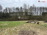 Prodej, rodinný dům k rekonstrukci, Dasnice, okr. Sokolov - 13