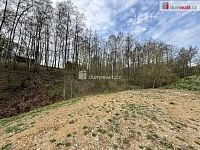 Prodej, rodinný dům k rekonstrukci, Dasnice, okr. Sokolov - 6