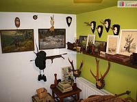 RD, Mladá Boleslav, Žďár - Žehrov - 8