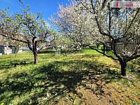 Stavební parcela s chatou, K Malé Homolce_Radobyčice, 1127 m2 - 4