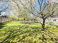 Stavební parcela s chatou, K Malé Homolce_Radobyčice, 1127 m2 - 6