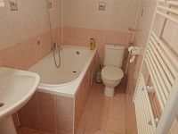 pronájem bytu 1+1, ul. Fibichova, Děčín - Letná - 8