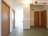 Pronájem bytu 3+1 s balkonem v Ostrově  - 18