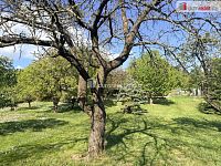 Zahrada  "Za Kasárnami" Mikulov - 3