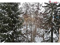 Pronájem bytu 2+kk, 57,2 m2, 2.patro, Praha 10- Vinohrady - 19