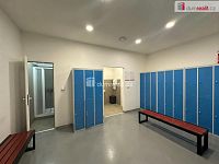 Skladovací haly 3.000m2, Břeclav - 11