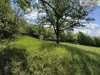 Prodej pozemku v Míkovicích 5056m2