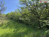 Prodej pozemku v Míkovicích 5056m2 - 3