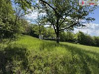 Prodej pozemku v Míkovicích 5056m2 - 4