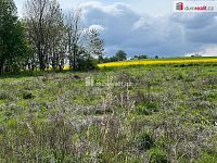 Prodej, pozemky. 3978 m2, Rudná pod Pradědem - Stará Rudná - 3