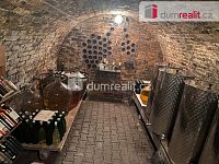 Vinný sklep s vinicí - 5