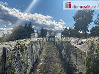 Vinný sklep s vinicí - 6