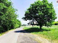 Prodej stavebního pozemku v Otvicích, okres Chomutov - 6