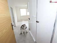 Pěkný byt 1+1 ve třetím patře panelového domu s výtahem - 4
