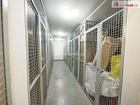 Byt v OV 1+kk s balkonem a garážovým stáním - sklep