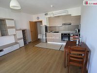 Krásný slunný vybavený byt 1+kk s terasou  a s parkovacím stáním v Čakovicích - 2