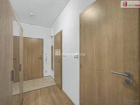 Krásný slunný vybavený byt 1+kk s terasou  a s parkovacím stáním v Čakovicích - 23