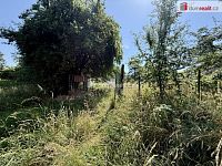 Pronájem oploceného pozemku 5.135 m² se zázemím, Odolena Voda – vhodné např. pro psí cvičiště - 2