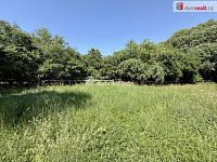 Pronájem oploceného pozemku 5.135 m² se zázemím, Odolena Voda – vhodné např. pro psí cvičiště - 7