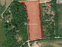 Prodej zahradního pozemku 224m², Praha 10- osada Dubeček, nově vzniklá kolonie - 3