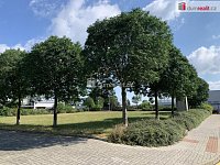 Pronájem prostorného, světlého bytu 3+KK 81 m2 ul. Kestřanská, Cholupice. - 18