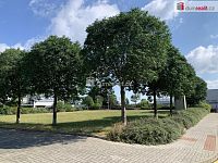 Pronájem prostorného, světlého bytu 3+KK 81 m2 ul. Kestřanská, Cholupice. - 3