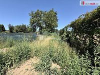 Nabízíme k prodeji zahradu o výměře 184 m² v obci Veltrusy, situovanou v klidné zahrádkářské kolonii v ulici V Cihelnách - 9