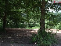 Stavební pozemek, Mladá Boleslav, Borovice - 4