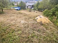 prodej zahrady s chatkou ( č.ev.) v osobním vlastnictví - zahradní kolonie /Pod Chlumem, Děčín - St. Město - 26