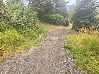 prodej zahrady s chatkou ( č.ev.) v osobním vlastnictví - zahradní kolonie /Pod Chlumem, Děčín - St. Město - 29