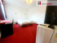 Pronájem apartmánu 18 m2 a více , Brandýs nad Labem - 9