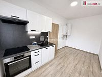 Pronájem bytu 2+1, 40 m2, V Aleji, Chabařovice