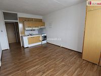 Udržovaná slunná garsonka s výhledem na Rolavu v Karlových Varech