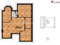 Prodej rodinného domu 9+2, 350 m2 - Mladá Boleslav - 12
