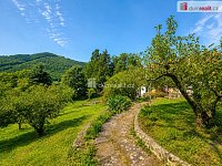 Jedinečná nabídka v Brné nad Labem – chata s velkým pozemkem a výhledem na řeku Labe - 9