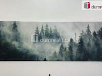apartmán v Krušných horách 48 m2, Abertamy - 15