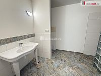 Pronájem domu 6+kk 225 m2 681 m2 pozemek parkovací stání zahrada terasa  - 21