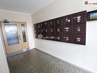 Útulná slunná garsonka (1+kk) ve třetím patře panelového domu s výtahem v Tachově - 10