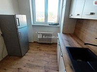Pronájem bytu 3+1+B, Střekov, Ústí n/L - 3