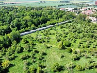 Prodej sadu 48 506 m², Hořín - Brozánky - 4