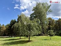 Prodej bytu 3+1, 64 m2, U Lesa, Karviná