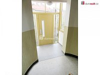 Prostorný  byt 3+1, 115 m2. 1.patro / 2 np, cihla, Praha 6 - Dejvice - 19