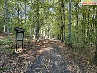 prodej st. pozemků 1.244 a 1.363 m2, Černé Voděrady, Praha - východ - 15