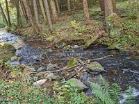 Prodej chaty 58 m2 se zahradou, CP pozemku 793 m2, Horní Líšnice, okr. Příbram - 15